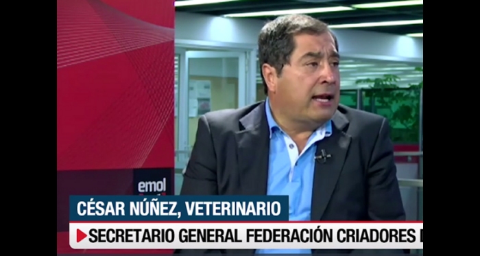 César Núñez comentó en Emol TV la importancia de la campaña de ayuda tras los incendios forestales