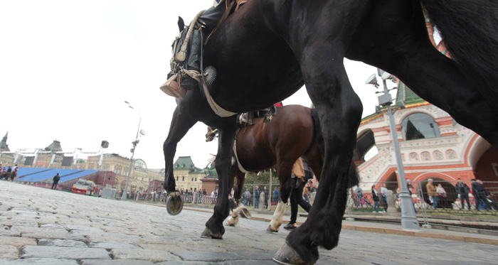 El resonar de los cascos de los caballos chilenos en la Plaza Roja de Moscú
