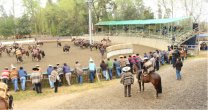 Talca espera un competitivo Rodeo Para Criadores en Los Llanos de Pelarco