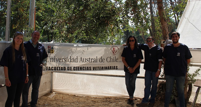 Doctor Bustamante detalló nuevos estudios que realiza equipo de veterinarios en los Clasificatorios