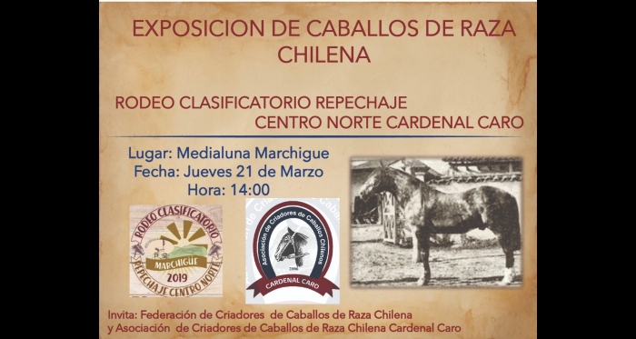 Cardenal Caro afina preparativos para la Exposición del Clasificatorio de Marchigüe