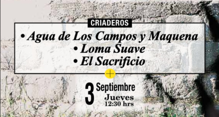 Agua de Los Campos, Loma Suave y El Sacrificio tienen remate el próximo 3 de septiembre