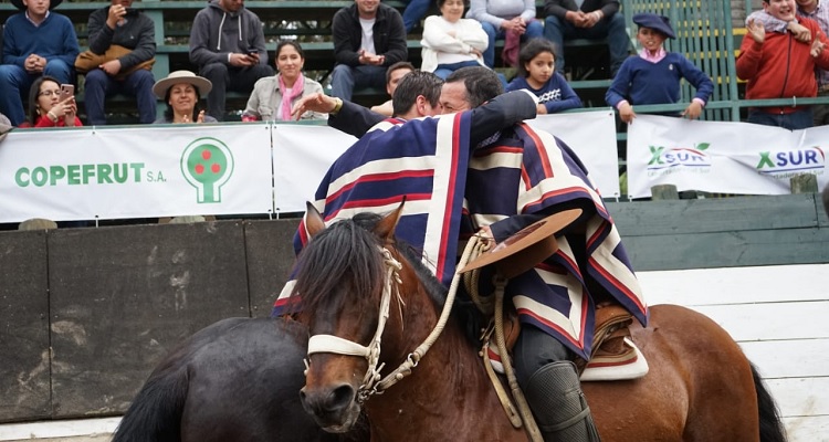 Lo Miranda prepara sus caballos en competencia mentalizados en el retorno del rodeo