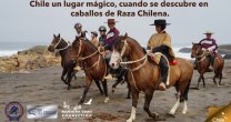Proyecto para insertar al Caballo Chileno en Circuito Mundial de Turismo Ecuestre toma fuerza