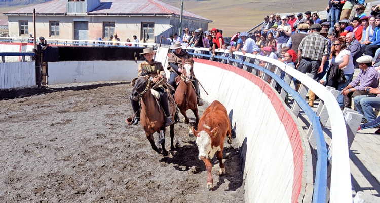 Club Torres del Paine tiene preparado un Rodeo Libre en la Medialuna de Cerro Castillo