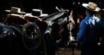 Lado B: Una mirada especial al 73° Campeonato Nacional de Rodeo