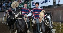 El Cuadro de Honor de Caballos de la Temporada 2019-2020 de la Federación del Rodeo Chileno
