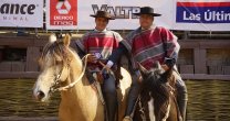 La sangre que llevó a la gloria a los ejemplares Campeones de Chile en Rodeo y Rienda