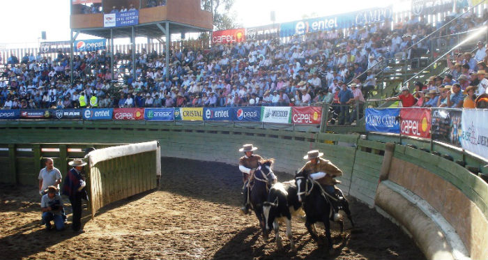 Asociación Los Andes tiene preparado su Rodeo Interasociaciones Especial