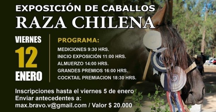 Gran panorama en Catapilco: Exposición, Rodeo Para Criadores y Fiesta Costumbrista