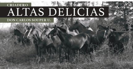 Criaderos Altas Delicias y El Convento salen a remate este jueves